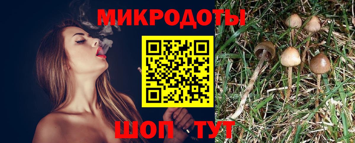 Галлюциногенные грибы Cubensis  купить  сайты  Вход с VPN  Ростов-на-Дону  Псилоцибиновые грибы Magic Shrooms 