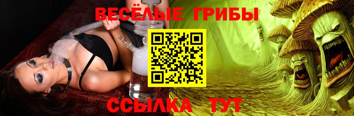 Псилоцибиновые грибы мухоморы Ростов-на-Дону